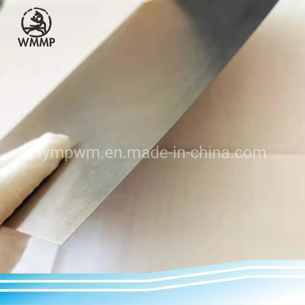 Factory Price Tungsten Molybdenum Sheet Plates Thickness0.3mm&0.5mm for Vacuum Washer